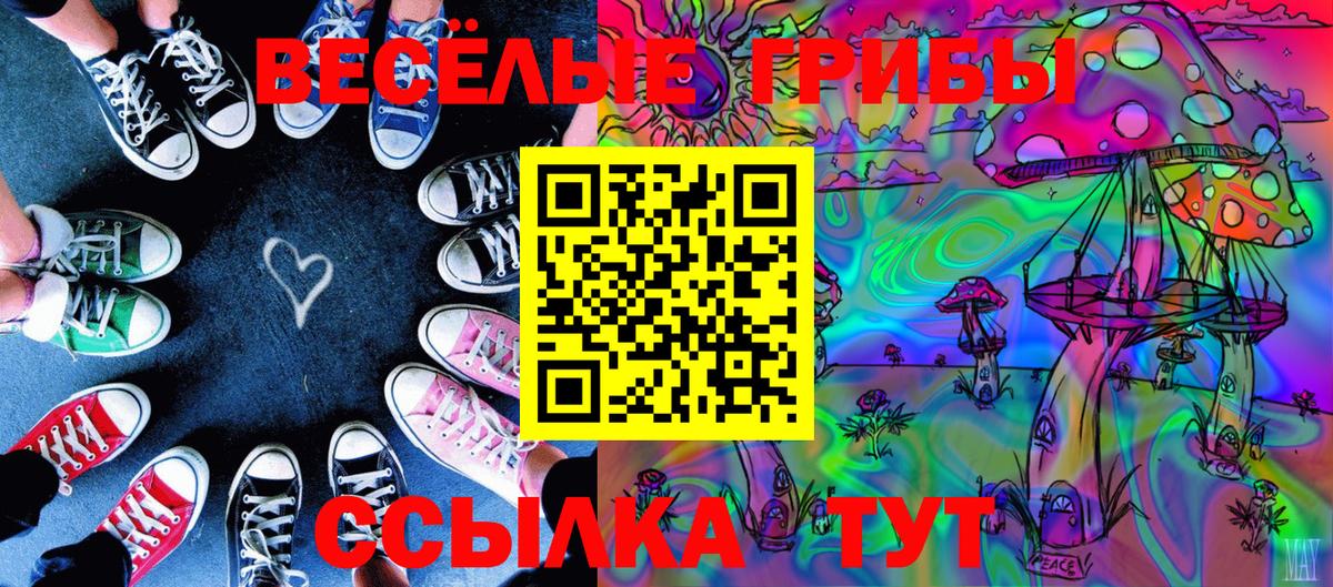 Псилоцибиновые грибы GOLDEN TEACHER  цена наркотик  Прохладный  Псилоцибиновые грибы мицелий  Вход с VPN 