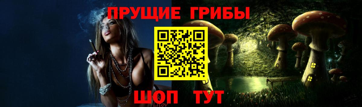 Псилоцибиновые грибы Psilocybe  Прохладный 